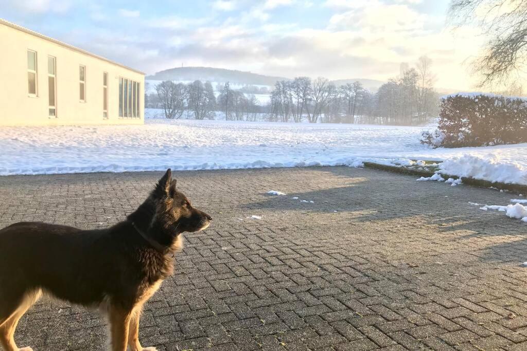 Ferienhaus Talblick Alpenrod Eksteriør bilde